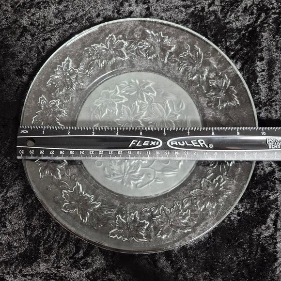 Set of 4 Princess House Fantasia 10-inch Dinner Plates Frosted Center EUC - Picture 5 of 5